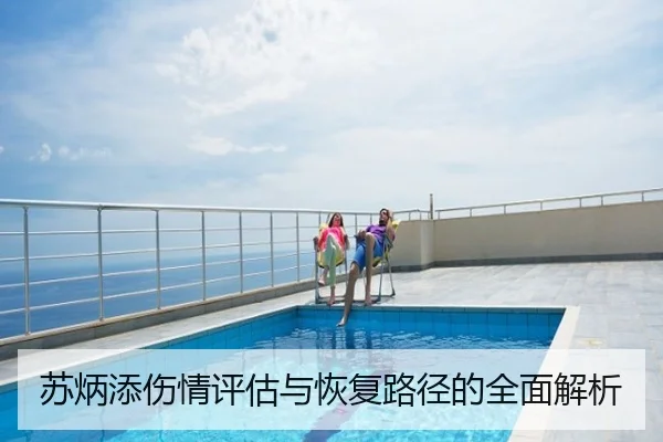 苏炳添伤情评估与恢复路径的全面解析