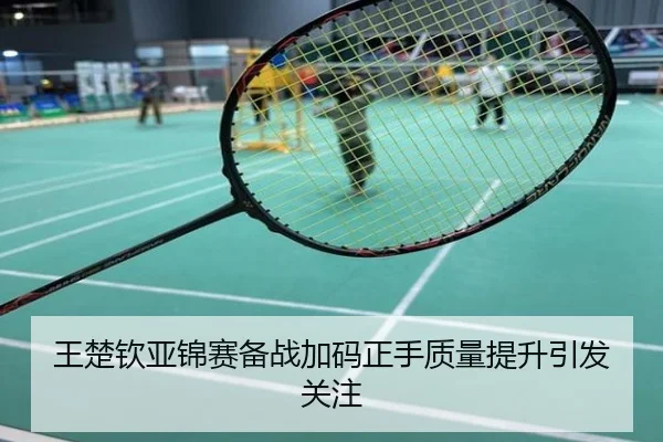 王楚钦亚锦赛备战加码正手质量提升引发关注